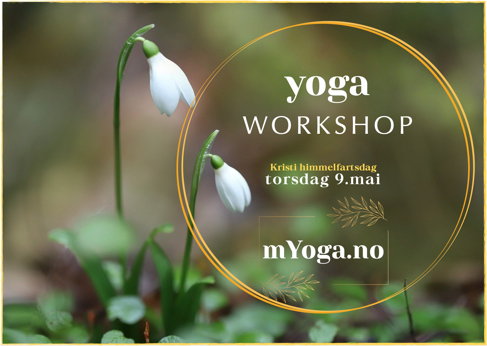 Yoga Qi Gong Workshop